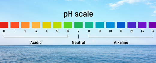 What Is Alkaline Water and How to Make It?