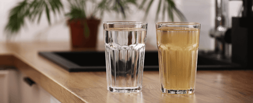 How to Purify Water at Home?