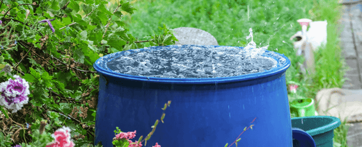Is Rainwater Safe to Drink in Australia?