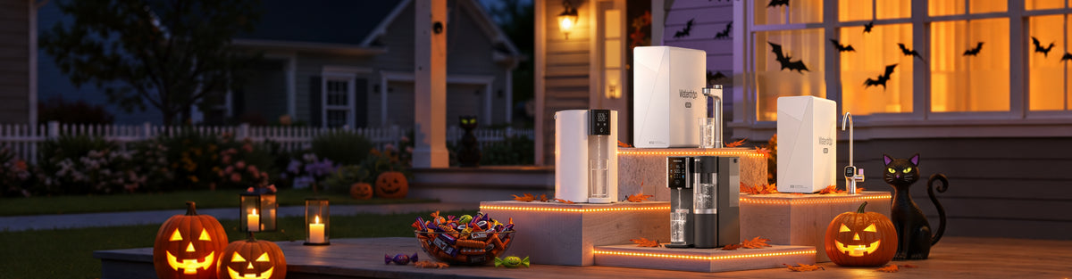 Halloween Promotion  | Oct 26th - Nov 1st