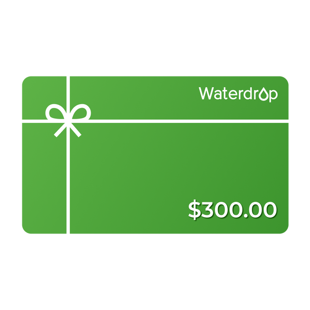 $300 Gift Card
