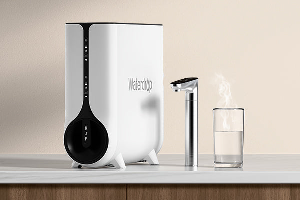 600 GPD Hot Water RO System